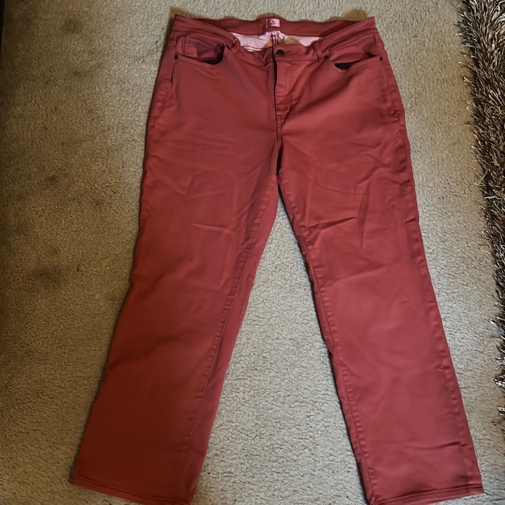 Dress barn Plus Size Mid Rise Jegging